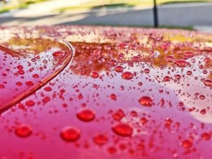 How Long Does Ceramic Coating Last